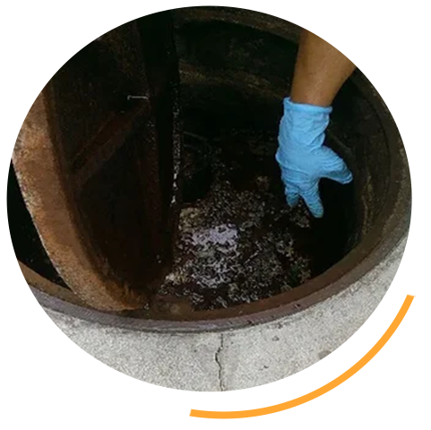Professional sewer services